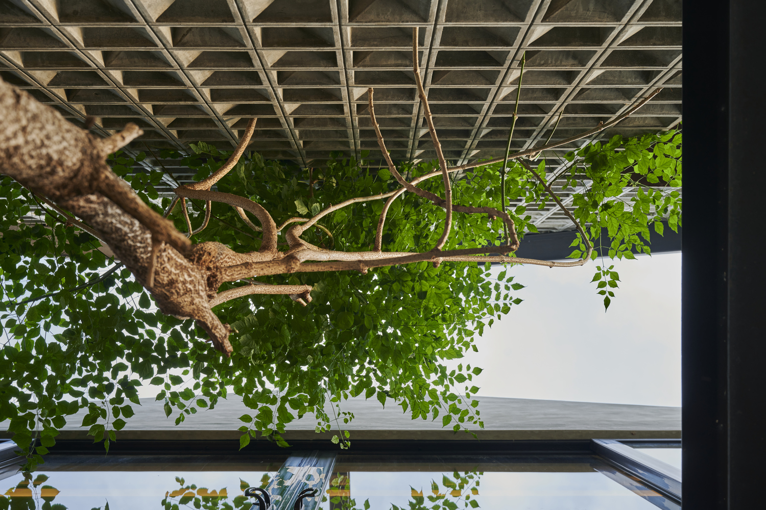 印尼梯田之家-41