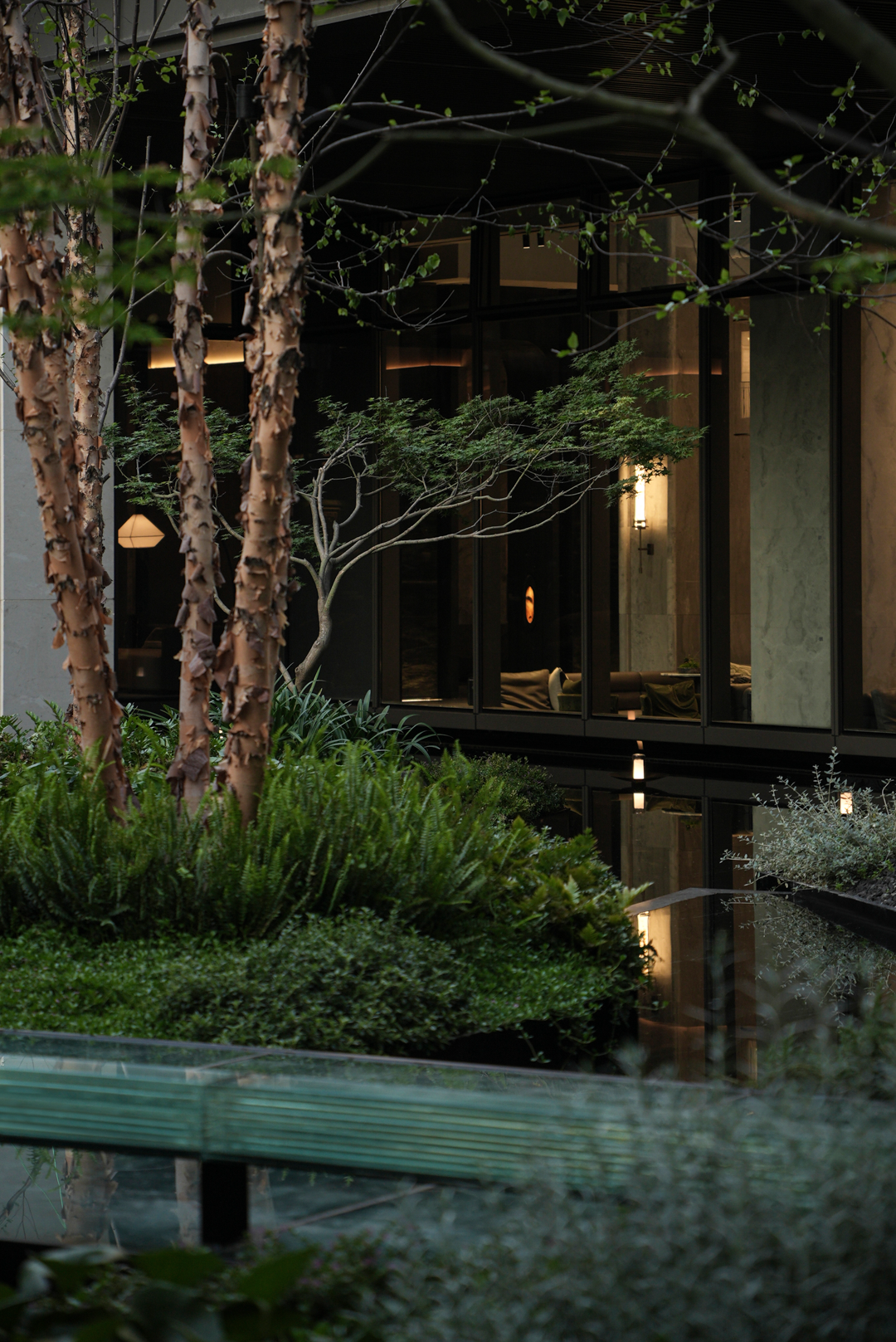 让山林的风，吹向城市|苏州蠡棠森屿-70