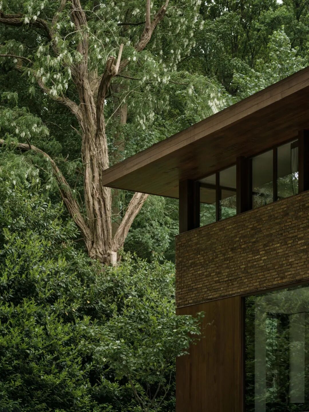 圣马尔滕斯－拉特姆自然主义住宅丨比利时丨Decancq Vercruysse Architects-3