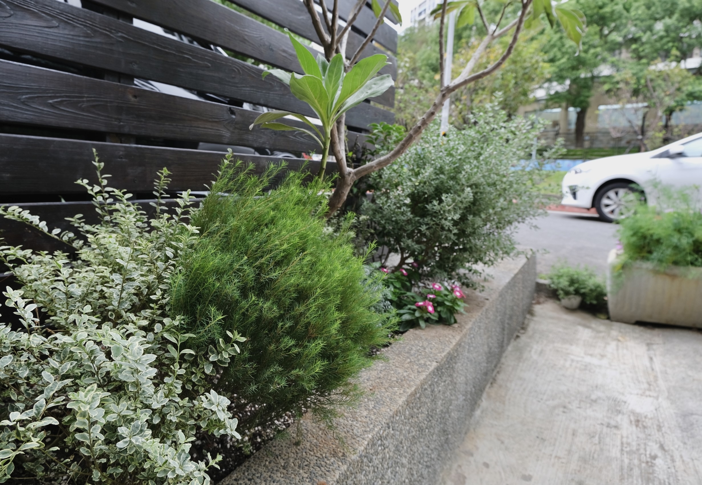 住宅案｜天母｜花園植栽設計-0