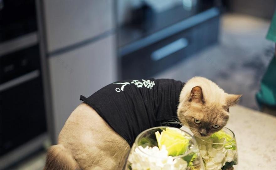 广州 180m²黑白灰原木色简约风格定制案例解读-11