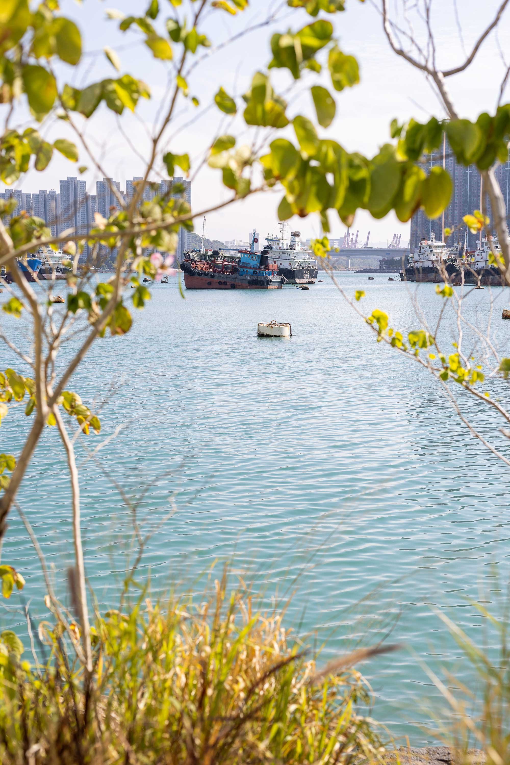 Hong Kong’s Harbourfront Spaces Get a Community-Driven Update — Design Anthology-4