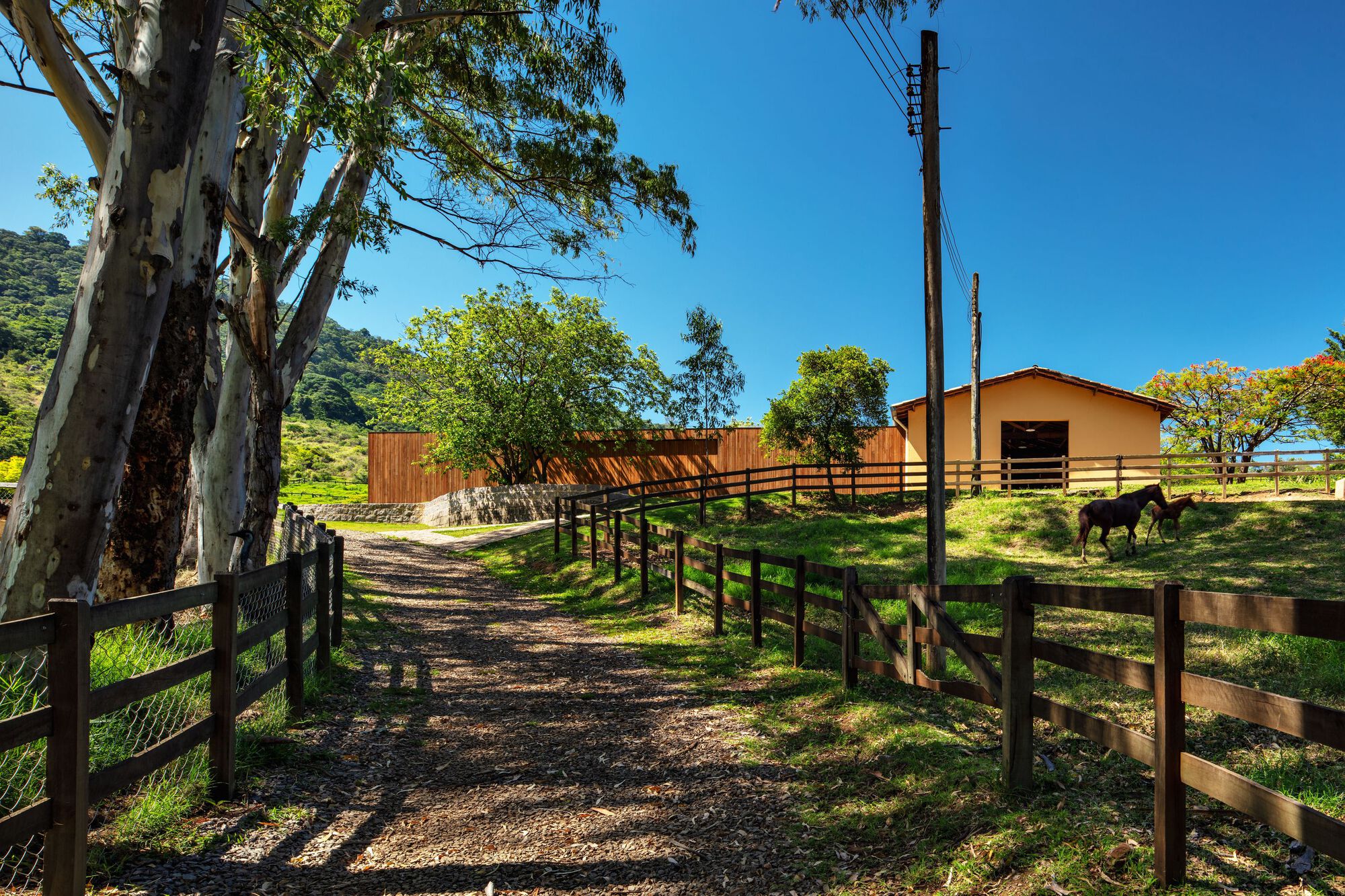 维斯塔阿莱格雷展馆丨巴西丨Terra Capobianco-39