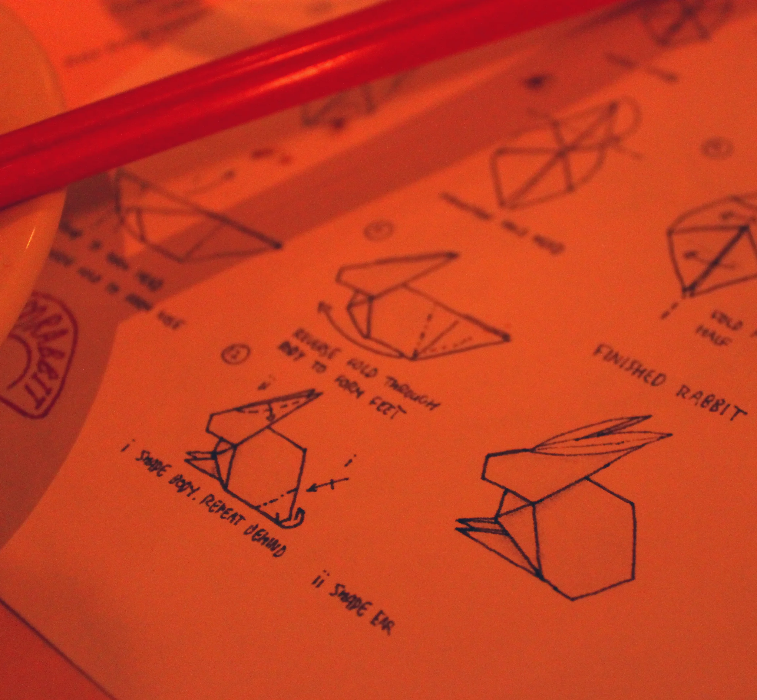 红色兔子丨澳大利亚悉尼丨aplin creative-37