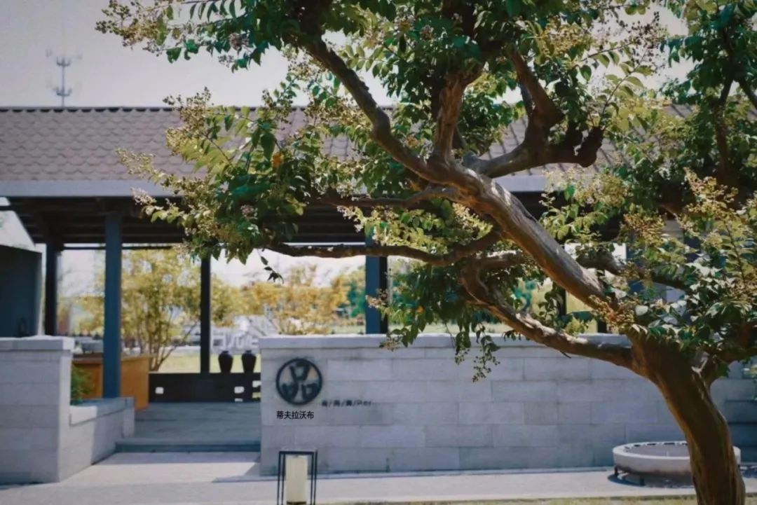 让工业遗存“活”起来，万三酒庄的“诗与远方”-10