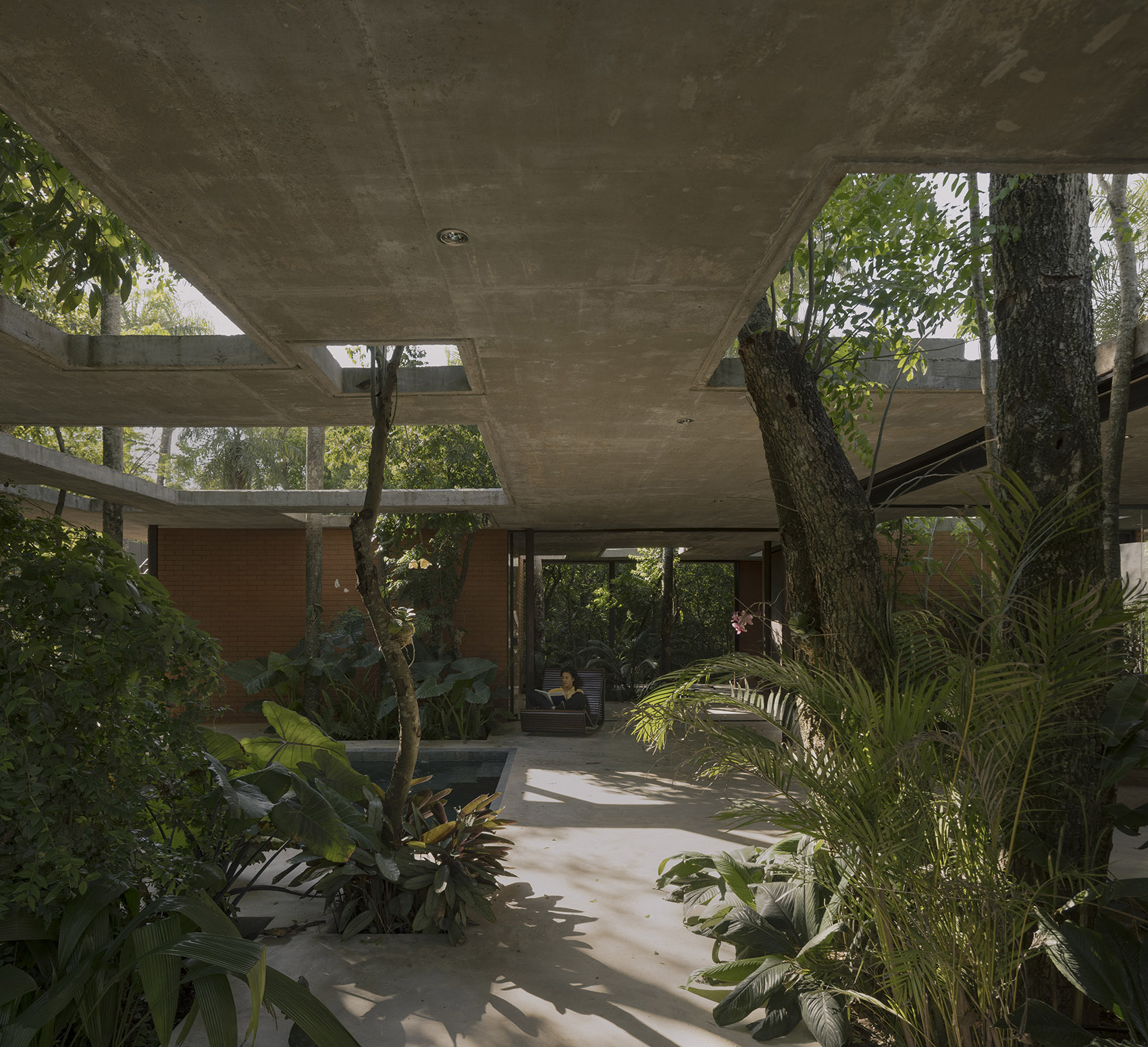 屋中森林丨巴拉圭丨Equipo de Arquitectura-94