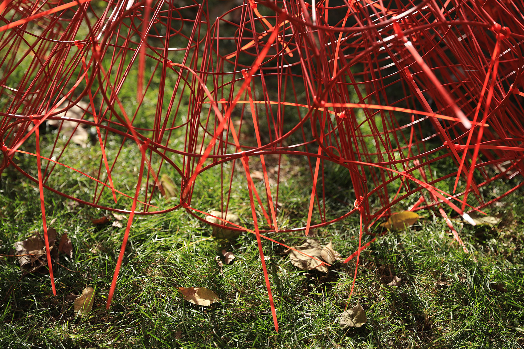 丹岩丨中国北京丨北京林业大学-65