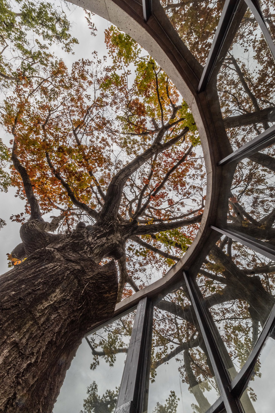 LuMa 住宅丨阿根廷布宜诺斯艾利斯丨AtelierM-18