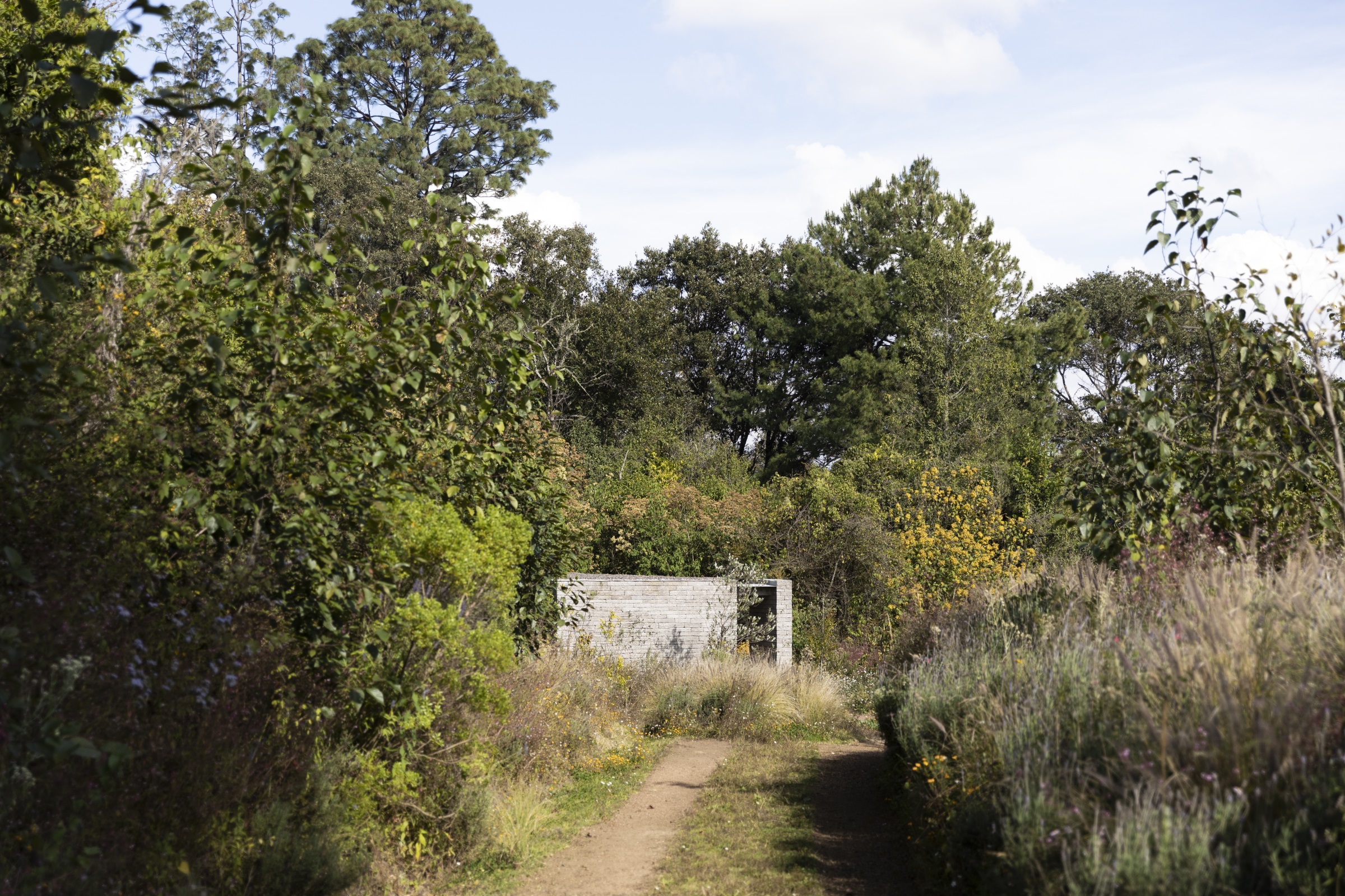 草甸景观设计-3