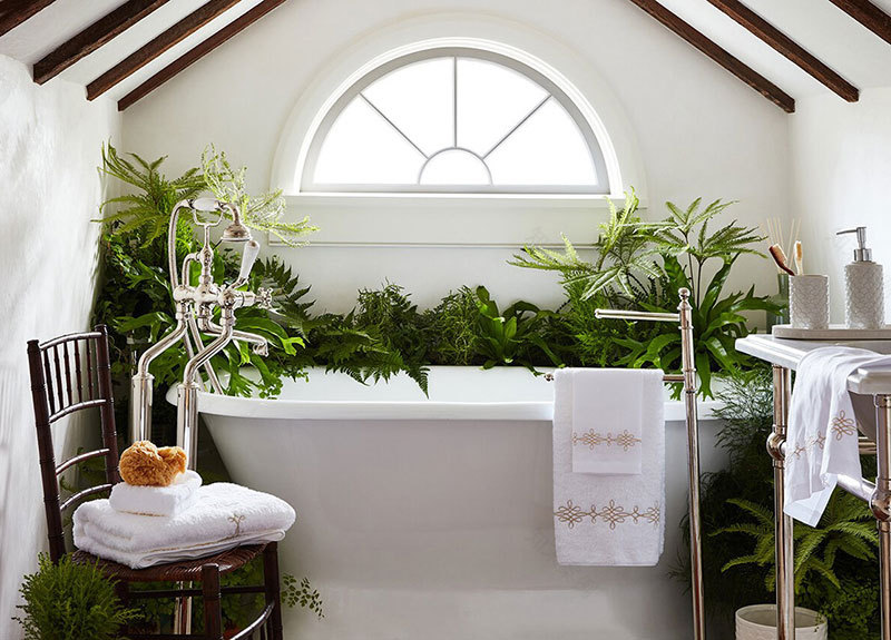 布鲁克林摄影师 Frank Frances 的精美室内摄影作品-12