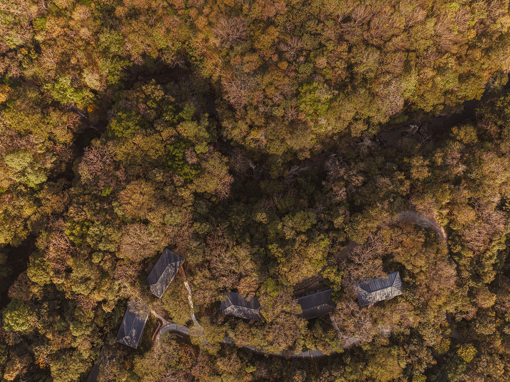 Rio Perdido西侧小屋丨哥斯达黎加丨Studio Saxe（建筑）,Dania Saragovia（室内）-91