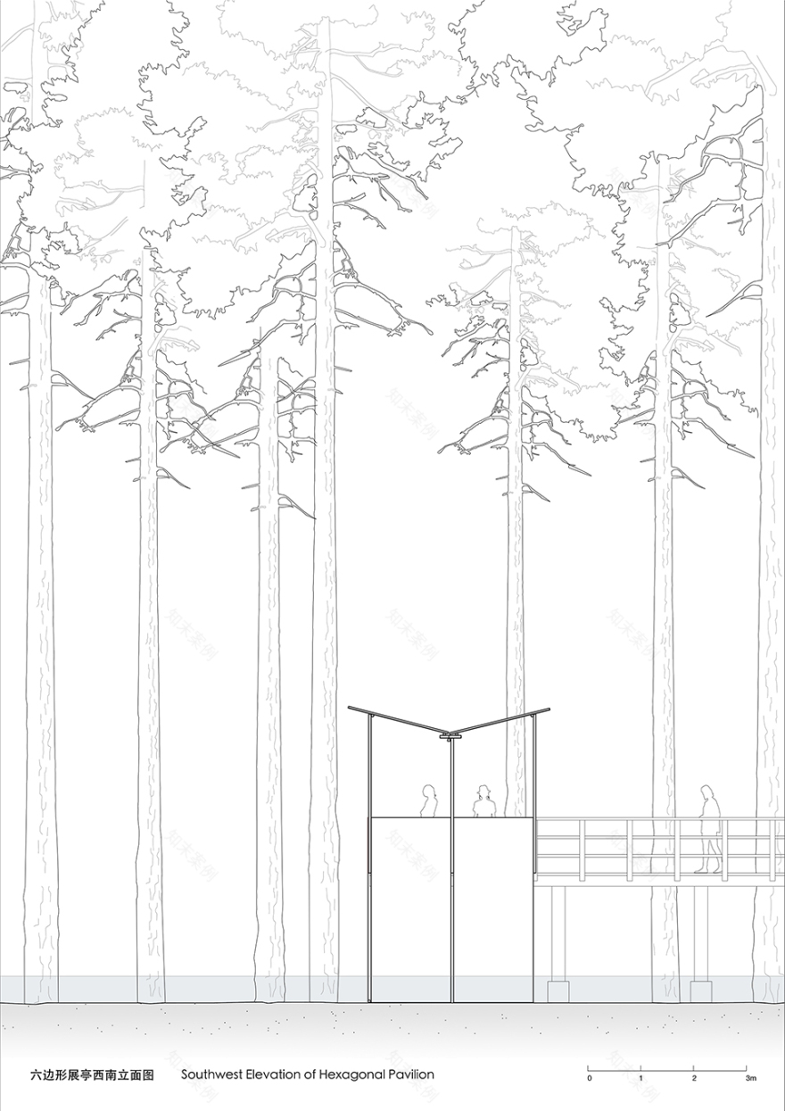 水上森林公园临时展亭丨中国杭州丨已知建筑-77