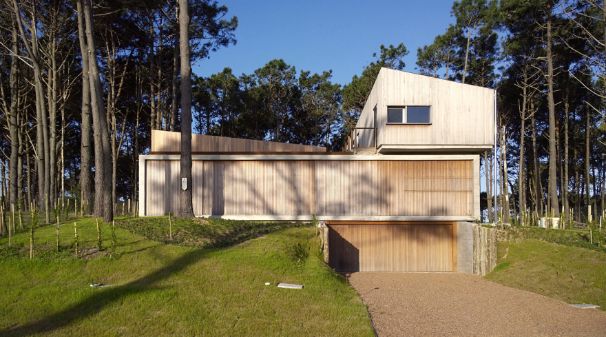 乌拉圭 Pinar del Faro 住宅-4