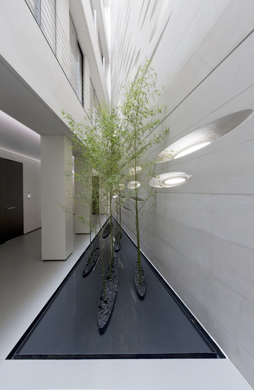 德黑兰 Rowzan 公寓楼-16