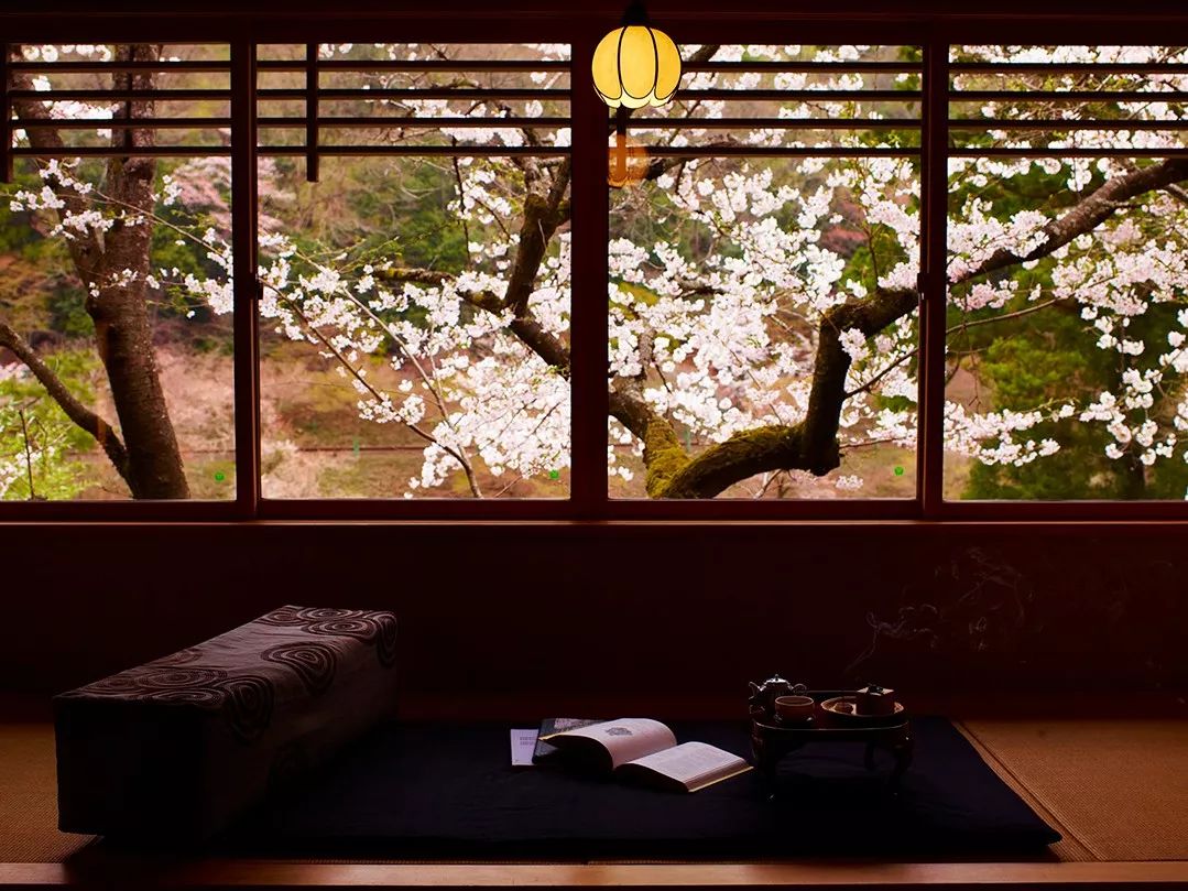 京都虹夕诺雅 | 野奢中的野奢，美到窒息！-52