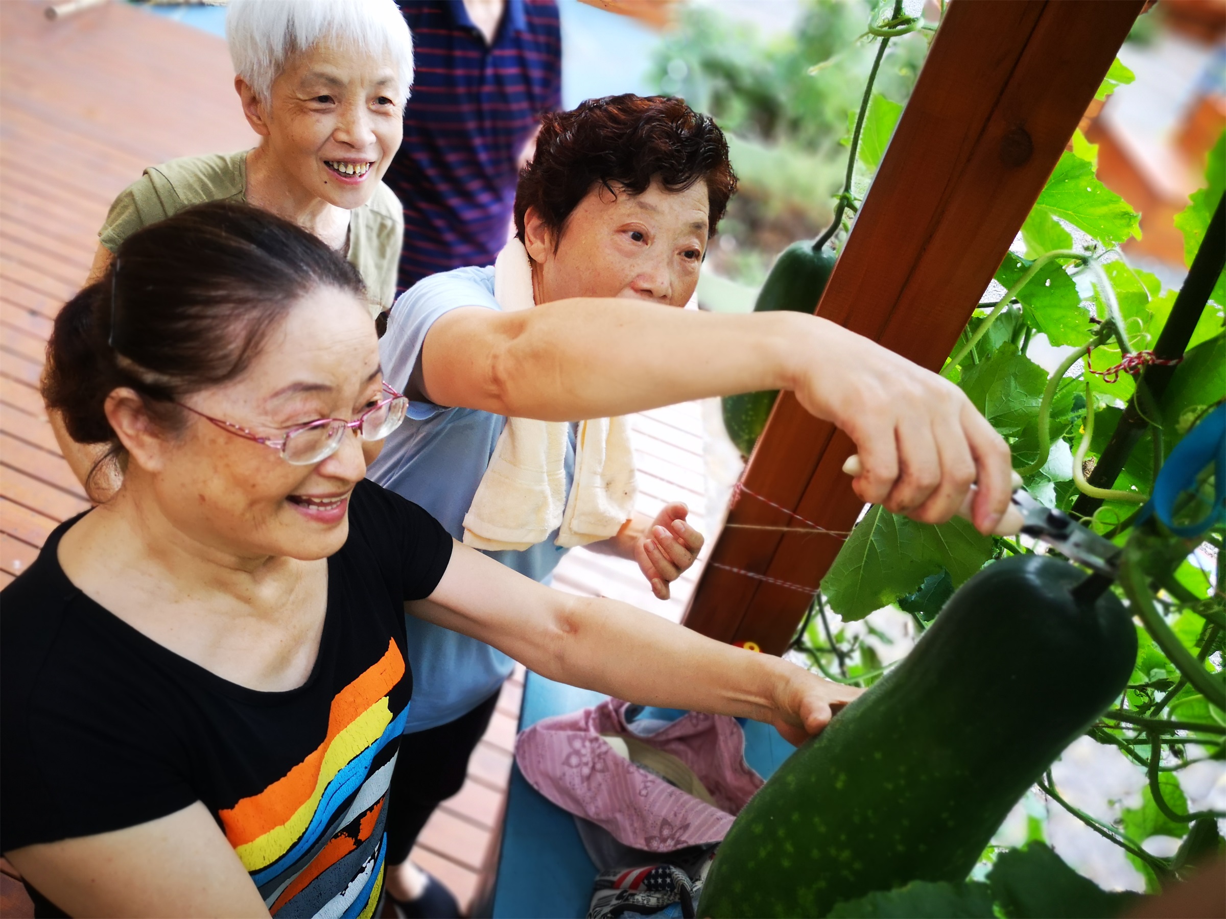 上海长宁区虹旭生境花园 | 城市野生动植物的绿色家园-37