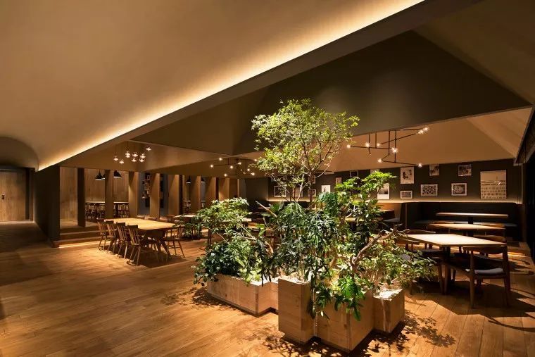 帕索·诺维塔-38