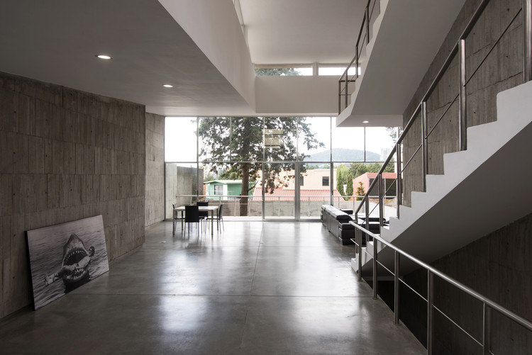 墨西哥城绿意盎然的家庭住宅-10