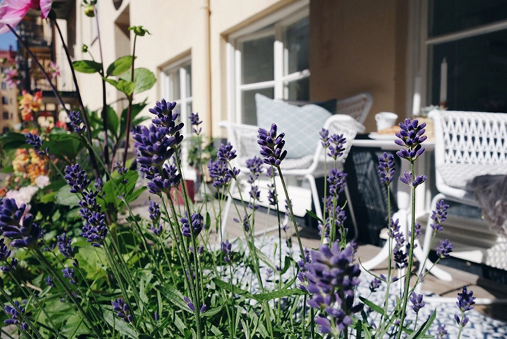 瑞典公寓的梦幻粉蓝细节-20