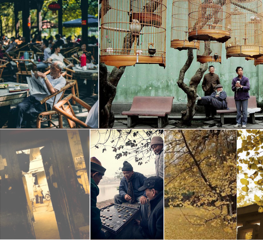 锦瑭示范区 | 养老新生态的千墨设计-10