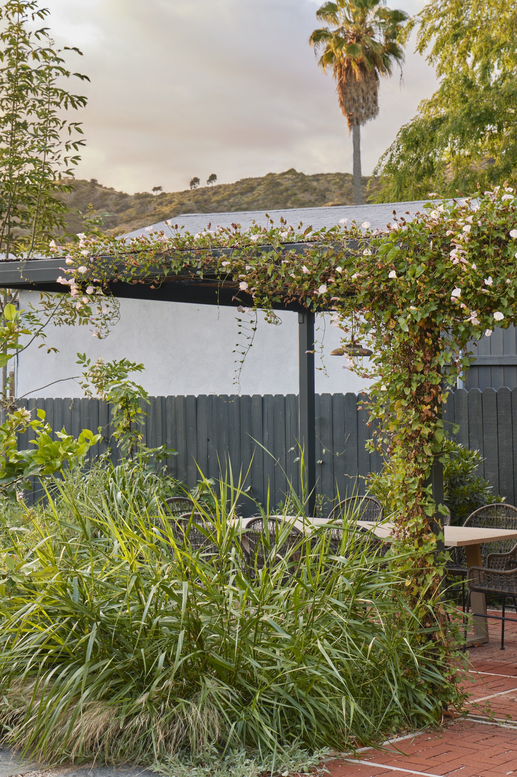 用时间酝酿，为孩子们创造的野趣花园丨美国丨TERREMOTO-31