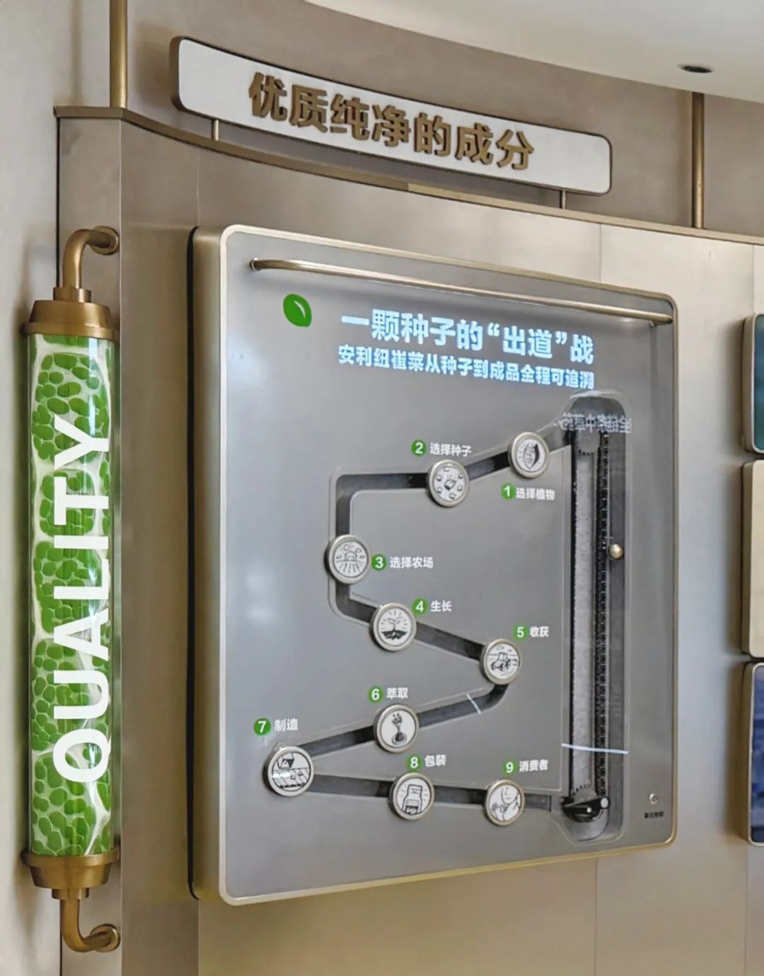 安利上海美花体验馆纽崔莱品牌体验空间丨中国上海丨Cityinno意创-48