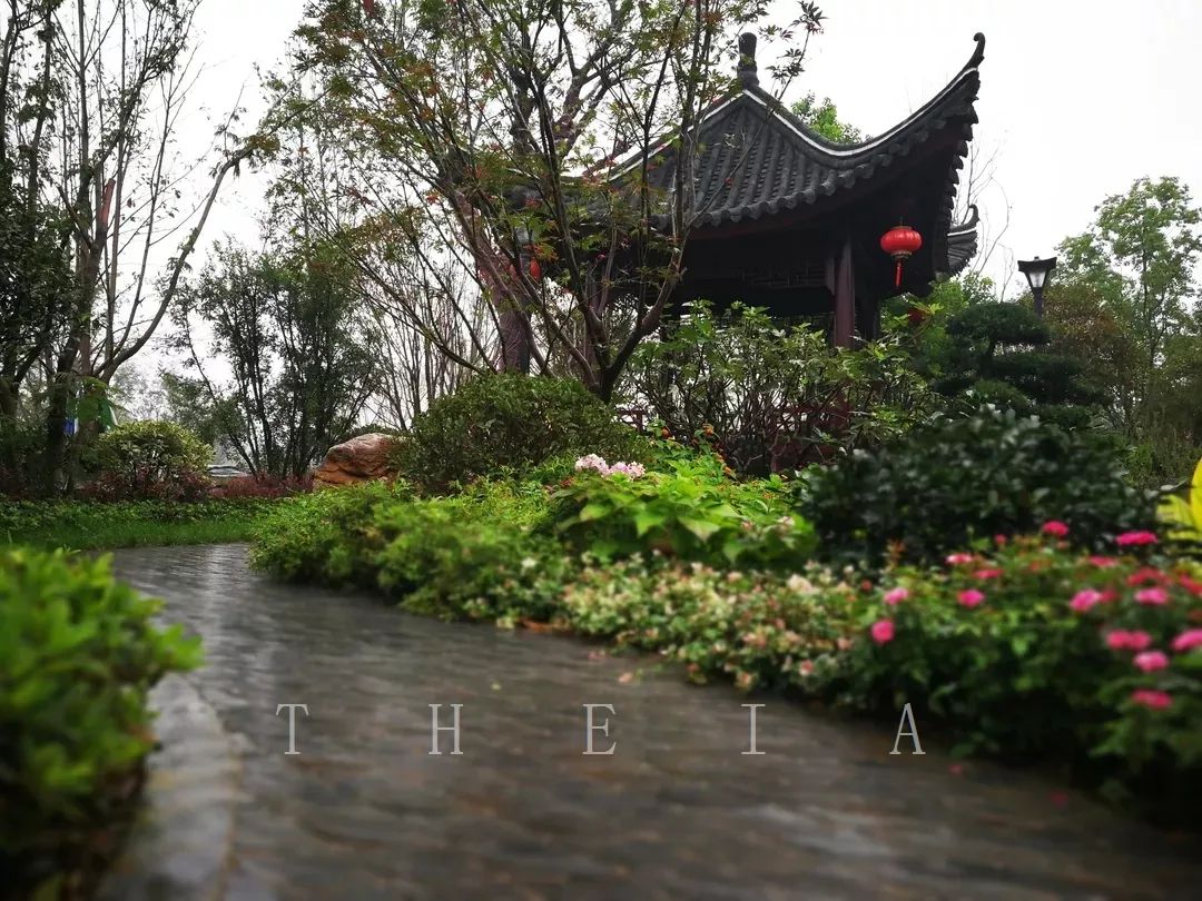 甬上情缘 | 十里红妆的园林艺术-61