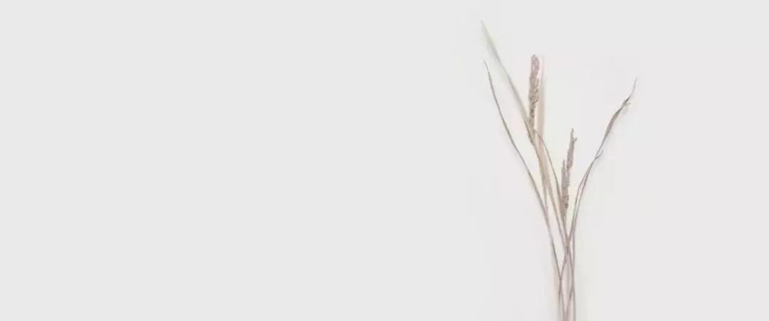 谷物大地上的销售中心 · 徽创•君泊丨中国合肥-0