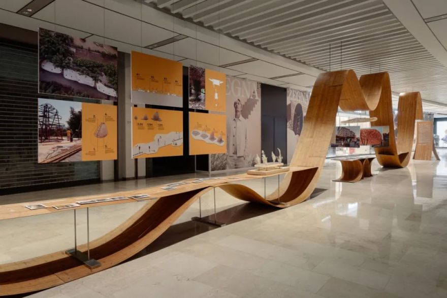 你以为竹子的极限和竹子真正的极限-144