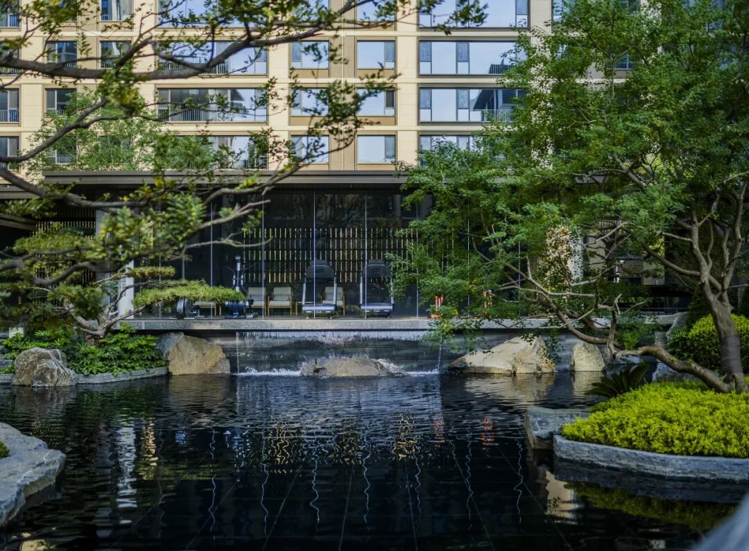 邯郸 · 天正 · 凤鸣九章丨中国河北丨麦田景观-29