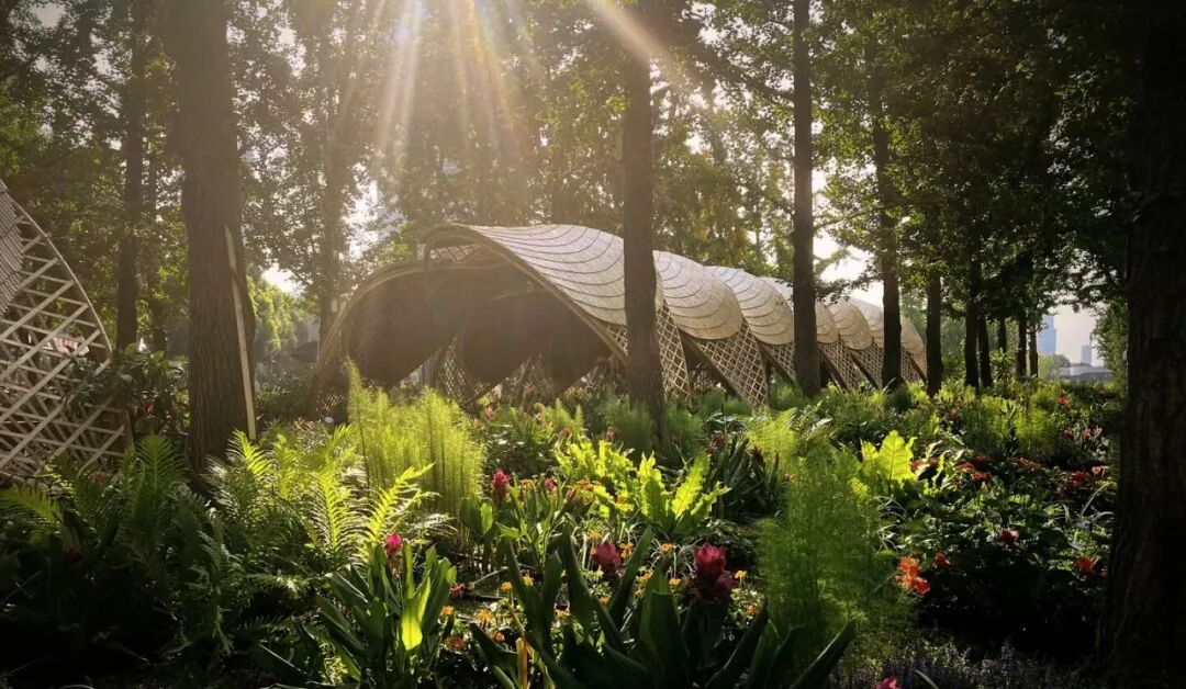 中国园林|沈实现何洋：城市事件视角下的亚洲花卉主题园设计研究与探索-57