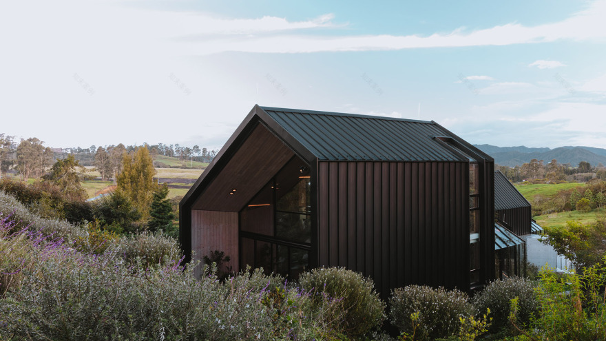 KRUPPA 住宅丨哥伦比亚丨Capa Arquitecture-9