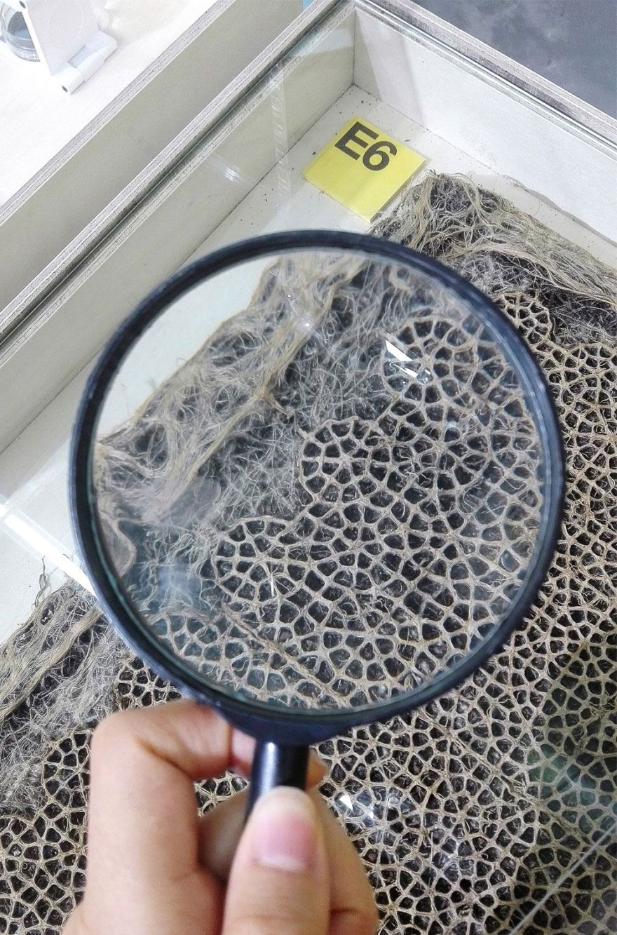 丨西班牙巴塞罗那-8