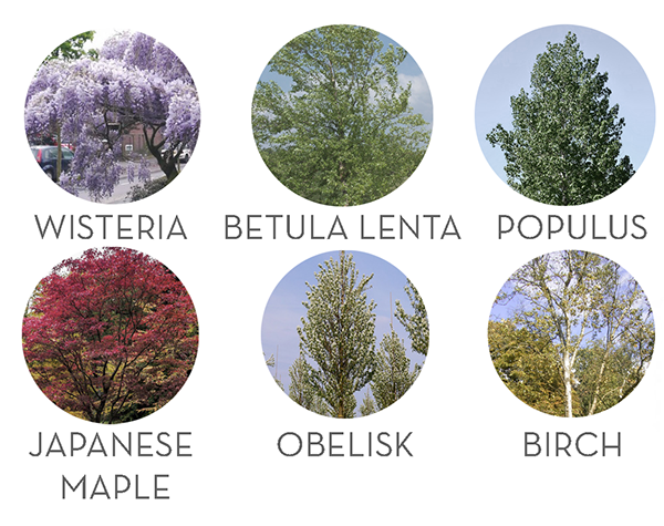 埃里温埃雷布尼行政区公共空间城市组织项目丨亚美尼亚-7