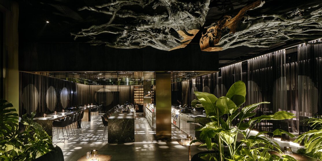 Project stories   | XAL-1