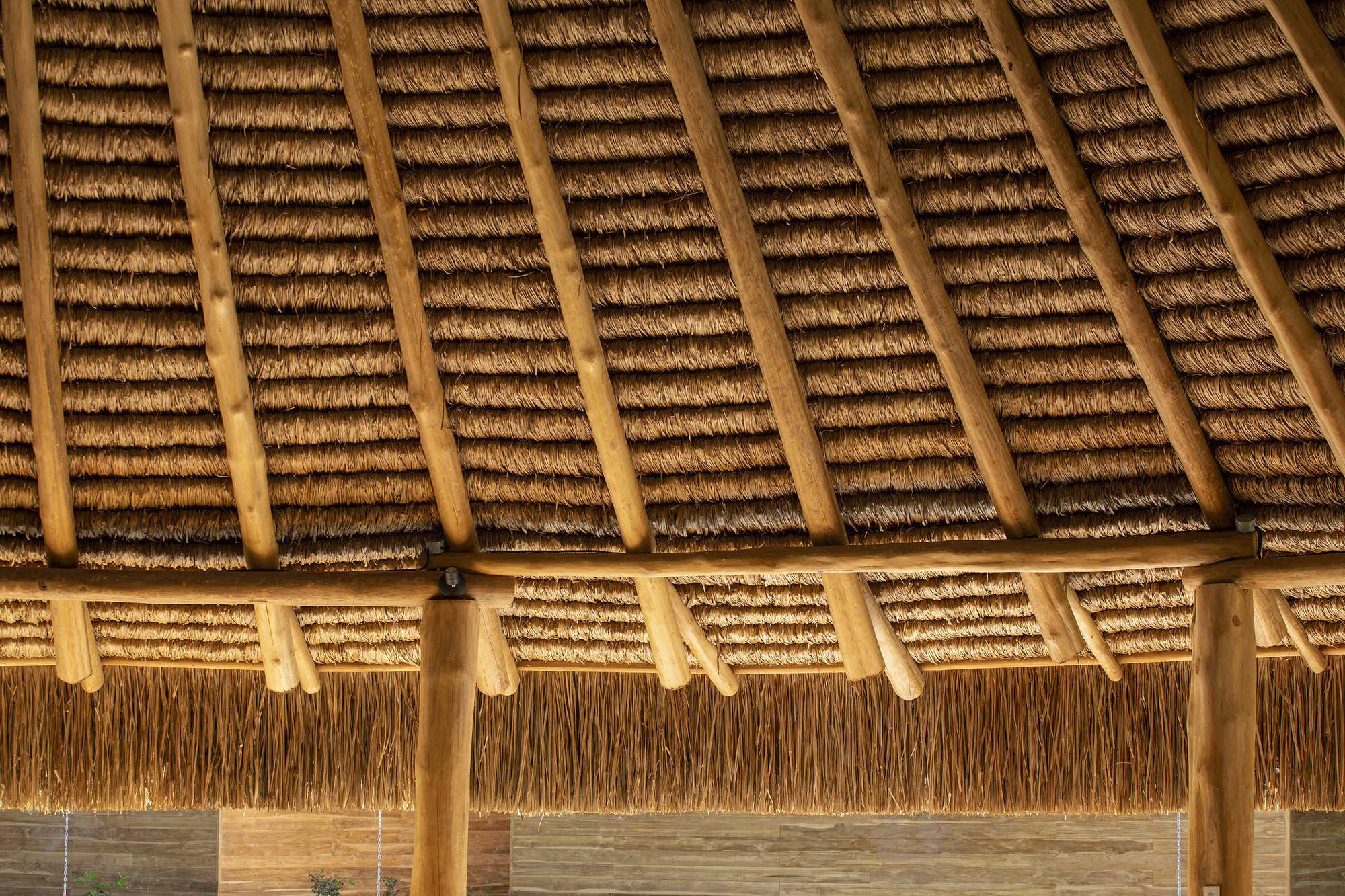 Casa de las Estrellas Waldorf School / Salagnac Arquitectos-34