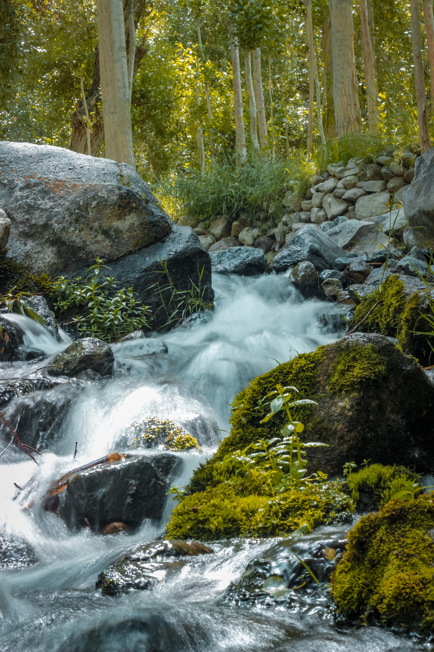 Nature Photography-6