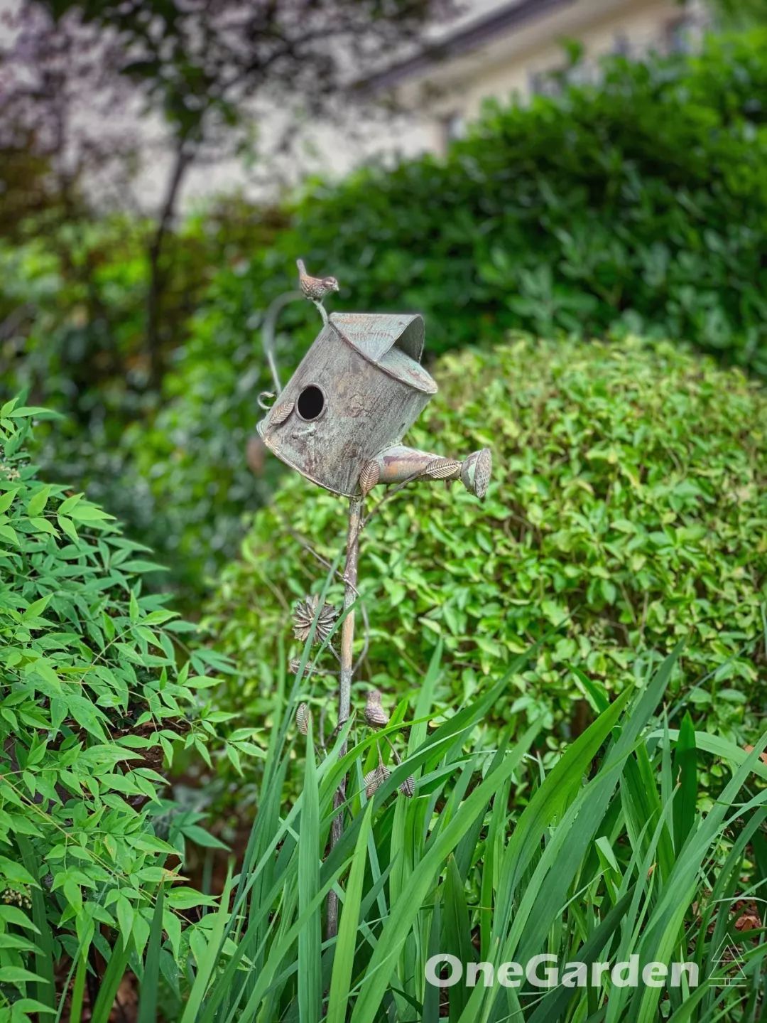钱湖比华利 | 野性自然式花园的改造艺术-68