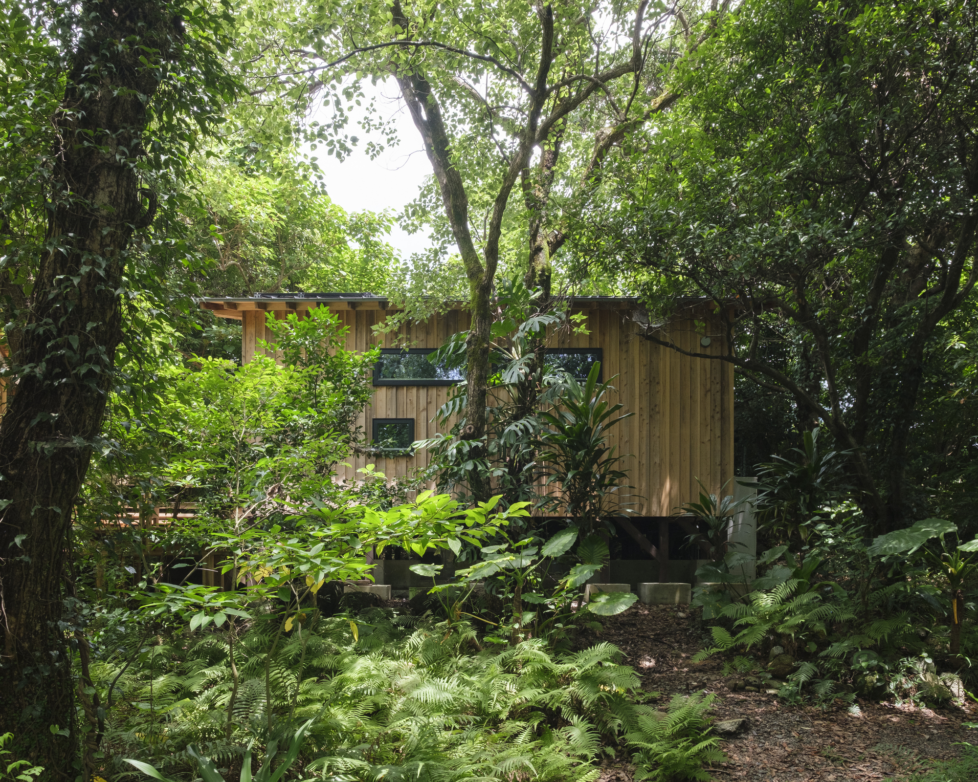 Sumu Yakushima Regenerative Residence / tono Inc.-50