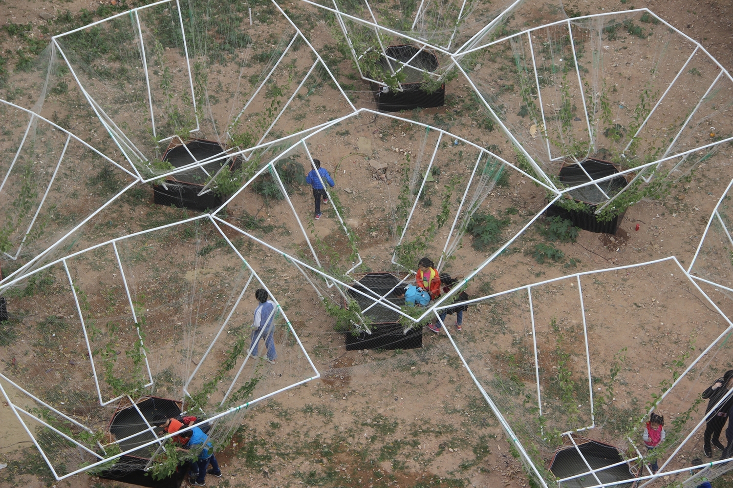 深圳天际农场 · 农民智慧融入城市更新-23