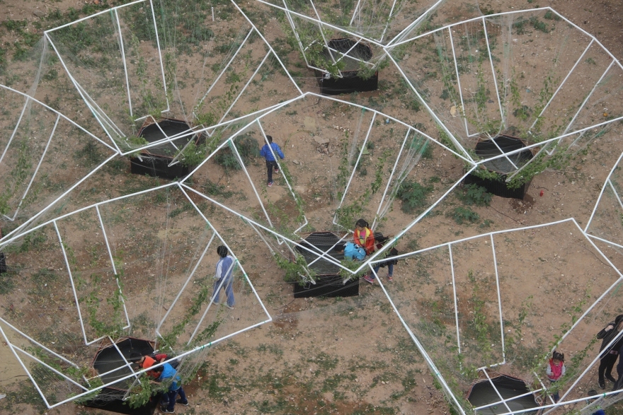 深圳天际农场 · 农民智慧融入城市更新-23