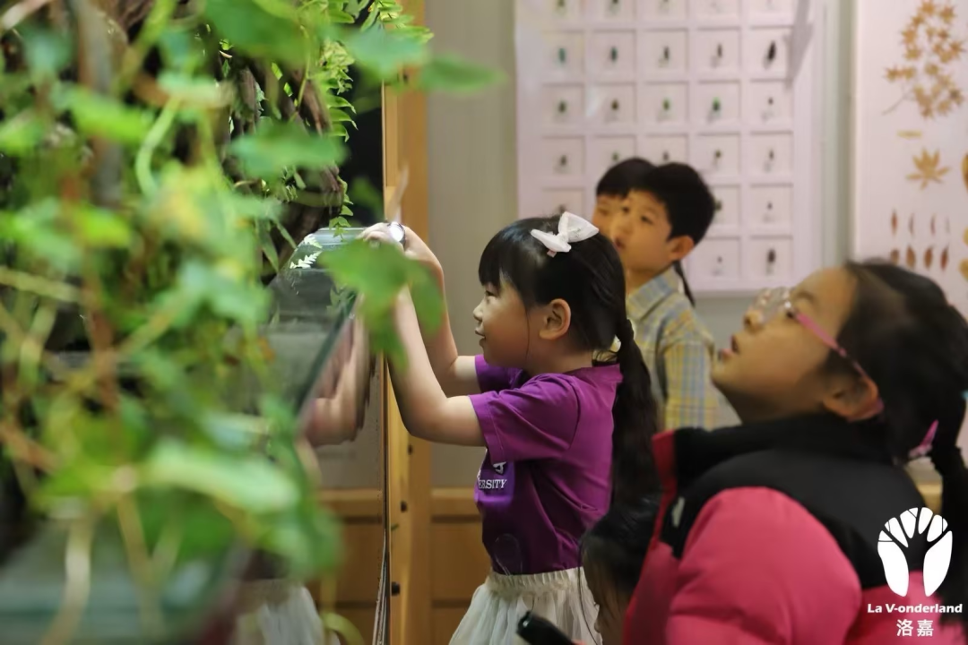 从场景营造到空间运营|洛嘉教育的社区实践与探索-45