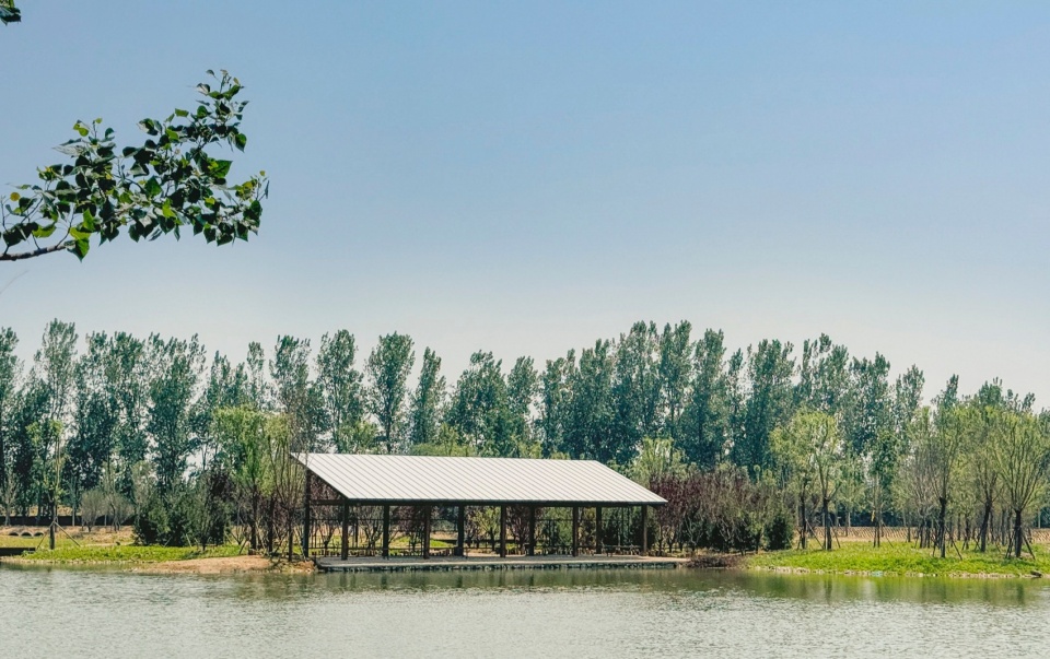 芦苇廊,观鸟屋等·邢襄生态园景观建筑系列丨中国河北丨北林风景建筑研究中心  段威工作室,上海领沃园林设计事务所  李工作室-136