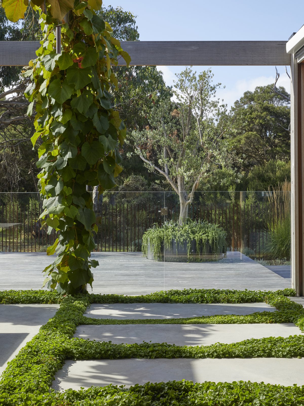 Honeysuckle 住宅丨Planned Living Architect-30