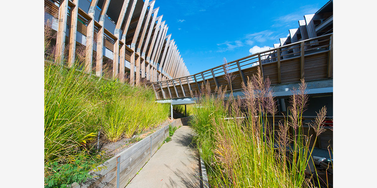 丨CoCo architecture等多家-21