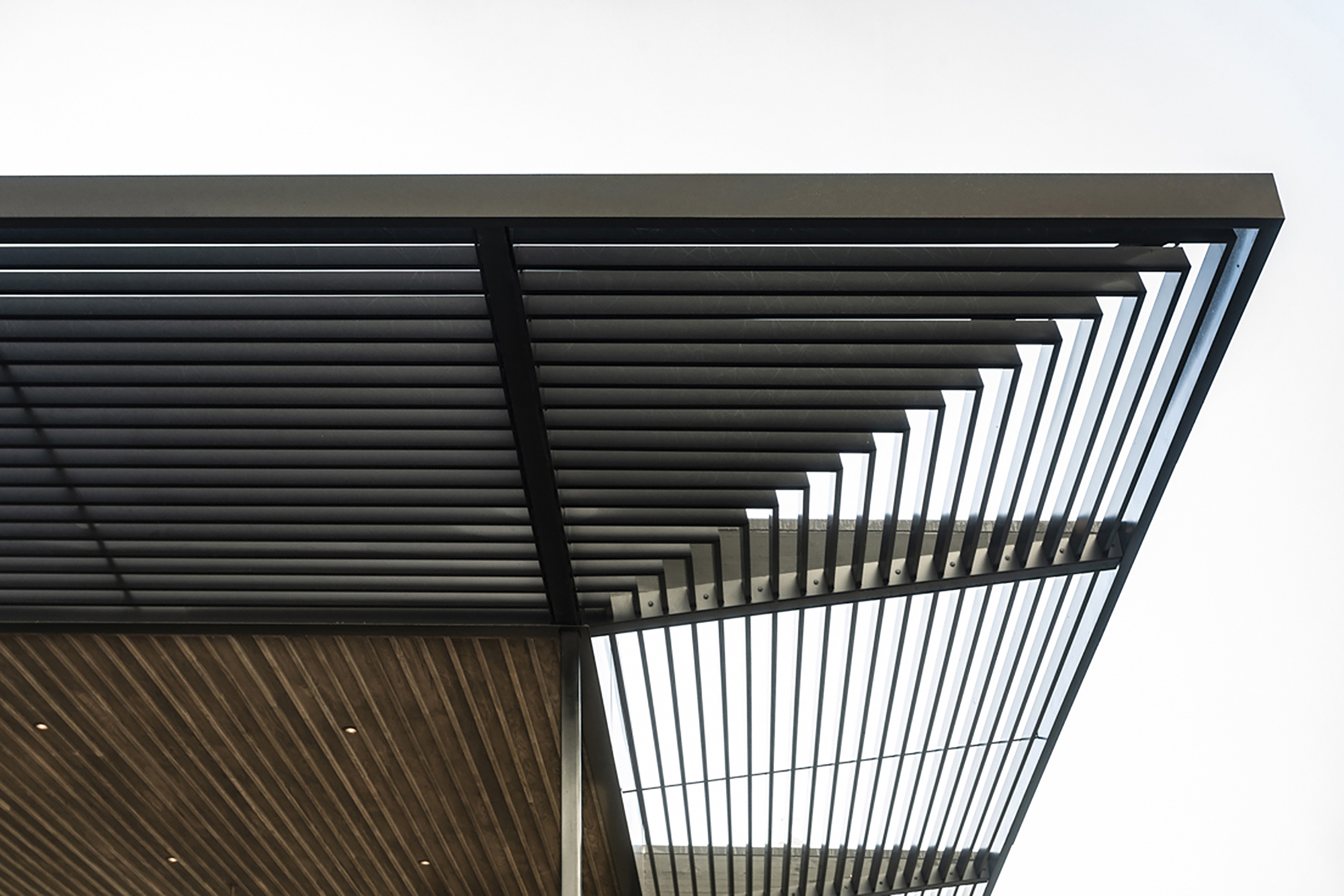 威拉米特泳池房丨美国俄勒冈丨Fieldwork Design and Architecture-29