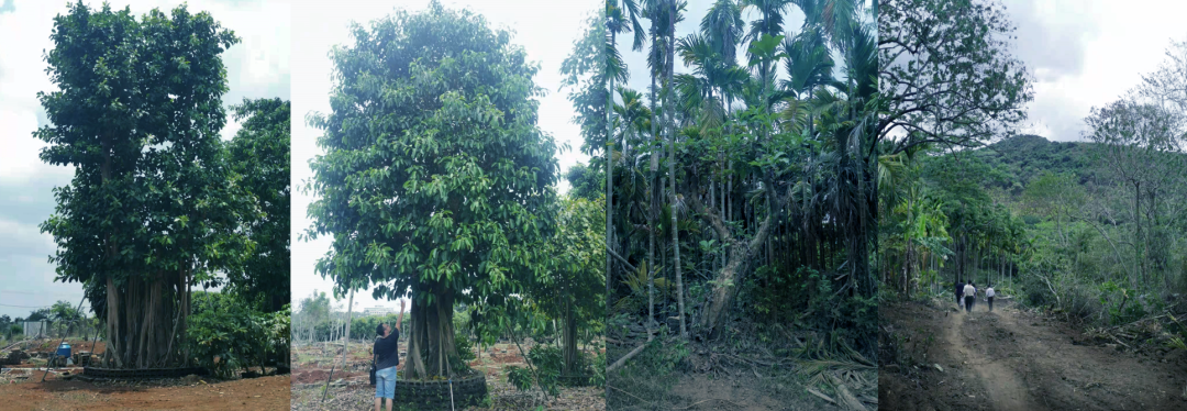 三亚万科瑧山谷,都会四季丨中国三亚丨WTD纬图设计-17