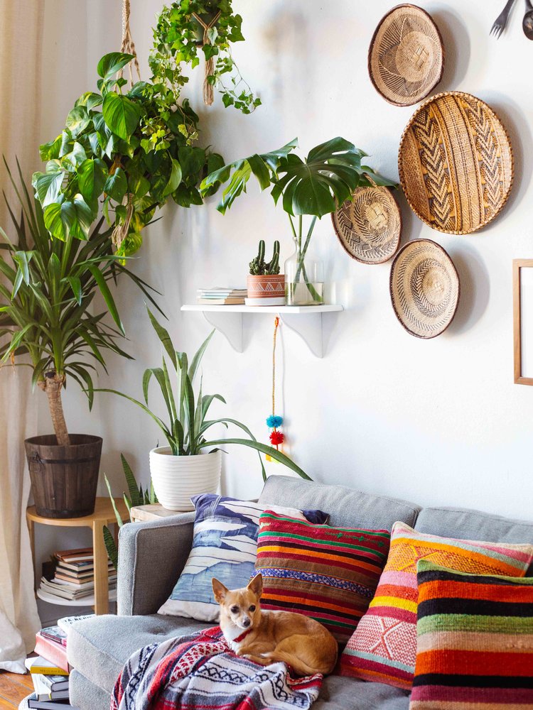 充满复古装饰的新奥尔良活力住宅丨美国-15