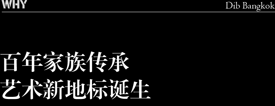 迪布曼谷

注：Dib可能是特定的人名、品牌名等专有名词，若有更具体背景信息，翻译会更精准 丨泰国曼谷丨WHY建筑工作室有限公司-7