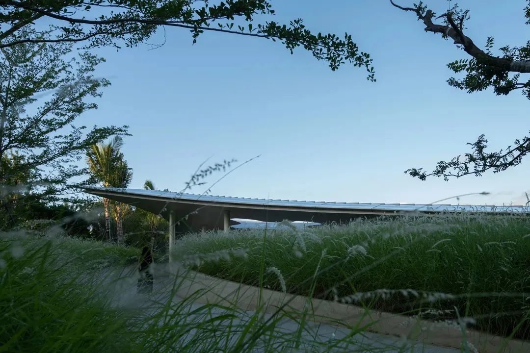 海棠河生态公园  海棠晓翼丨中国三亚丨水相设计（李智翔,葛祝緯等）,易加设计-11